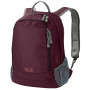 Mochila Jack Wolfskin Perfect Day 22 violeta DarkBerry