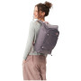 Mochila Aevor Day Pack FLX
