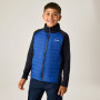 Chaqueta para niños Regatta Boys Trekktain 3-in-1 II Nvy/OlympBlu