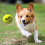 Juguete para perro Nerf Dog Blaster + Tennis Balls 3 pcs