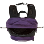 Mochila The North Face Hot Shot Se