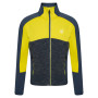 Sudadera para niños Dare 2b Exception CoreStr azul/amarillo OrinGry/Neon