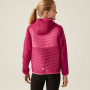 Chaqueta para niños Regatta Kielder Hybrid VIII