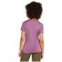 Camiseta de mujer Icebreaker W Mer 150 Tech Lite SS T South Const