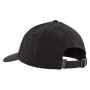 Gorra Patagonia P-6 Label Trad