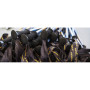 Bastones de senderismo Vipole Climber As Ql