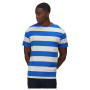 Camiseta de hombre Regatta Brayden