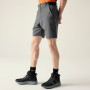 Pantalones cortos de hombre Dare 2b Torrek II Short