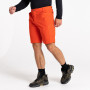 Pantalones cortos de hombre Dare 2b Tuned In II Short 2023