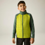 Chaqueta para niños Regatta Boys Trekktain 3-in-1 II DrkForGlac