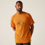 Camiseta de hombre Regatta Fingal Stretch