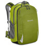 Color: verde