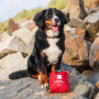 Botiquín para perros Mountain Paws Ultimate Dog First Aid Kit