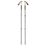 Bastones de senderismo Black Diamond Trail Cork Trekking Poles