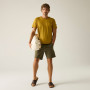 Camiseta de hombre Regatta Finlo