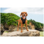 Arnés para perro Mountain Paws Dog Harness