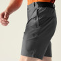 Pantalones cortos de hombre Dare 2b Torrek II Short