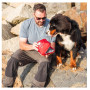 Botiquín para perros Mountain Paws Ultimate Dog First Aid Kit (2026)