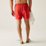 Bañador de hombre Regatta Mawson Swim Shorts III