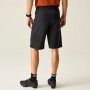 Pantalones cortos de hombre Dare 2b Descent Short