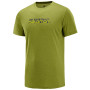 Camiseta de hombre Salomon Agile Graphic Tee M verde AvocadoHeat