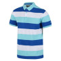 Camiseta de hombre Regatta Maxen azul/blanco AntiguaStrpe