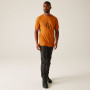 Camiseta de hombre Regatta Fingal Stretch
