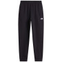 Pantalones de chándal para hombre The North Face M Evolution Simple Dome Regular Jogger negro TNF BLACK