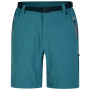 Pantalones cortos de hombre Dare 2b Tuned In ProShort verde/azul MediteranGrn