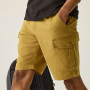 Pantalones cortos de hombre Regatta Ruwan Shorts