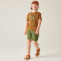 Pantalones cortos para niños Dare 2b Reprise III Short Nephite Green