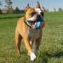 Juguete para perro Nerf Dog Small Tennis Balls 3 pcs