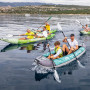 Palas Aqua Marina KP-1