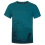Talla: L / Color: azul/verde