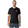 Camiseta de hombre Dynafit Back Graphic Co T-Shirt M