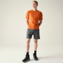 Pantalones cortos de hombre Dare 2b Torrek II Short