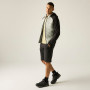 Chaqueta de hombre Regatta Andreson Hybrid