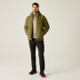 Chaqueta de hombre Dare 2b Torrek Padded Jacket