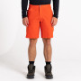 Pantalones cortos de hombre Dare 2b Tuned In II Short 2023