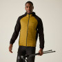 Chaqueta de hombre Regatta Andreson Hybrid