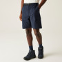 Pantalones cortos de hombre Regatta Mallen Shorts