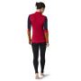 Camiseta funcional de mujer Smartwool W Intraknit Merino 200 Colorblock 1/4 Zip