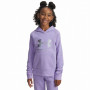 Sudadera para niños Under Armour Rival Flc Shimmer Hdy violeta Purple