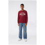 Sudadera para niños Champion Crewneck Sweatshirt B GMS