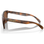 Gafas de sol OAKLEY Frogskin Prizm Tungsten