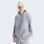 Sudadera de hombre The North Face M Evolution Simple Dome Regular Hoodie
