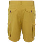 Pantalones cortos de hombre Regatta Shorebay Shorts II