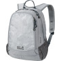 Mochila Jack Wolfskin Perfect Day 22 gris LeafGray