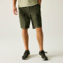 Pantalones cortos de hombre Regatta Arlery Shorts